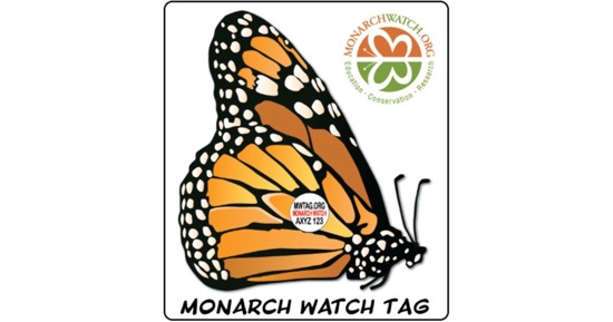 Tag Monarch Butterflies at the Nebraska State Fair