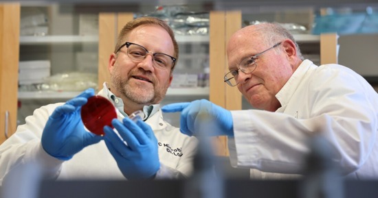 Dustin Loy (left) and Scott McVey examine bacterial culture from a calf with pink eye on a blood auger plate in a lab in the Nebraska Veterinary Diagnostic Center. (Russell Shaffer/IANR Media)