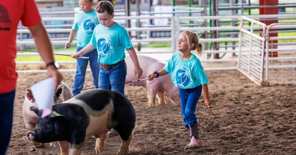 Ivy Mentink, 5, coaxes her pig around the ring in the Clover Kids competition during the Polk County Fair in Osceola, Nebraska, in July 2024. (Craig Chandler/University Communication and Marketing)