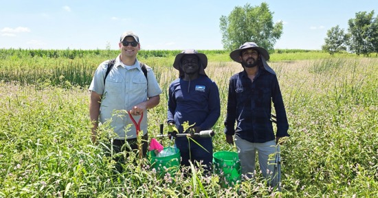 (From left) Riley Hackbart, USDA NRCS, with Godfred Ankomah and Dilshan Ekanayaka, UNL PREEC, standing in one of Nebraska Soil Health Coalition’s Hub 1 locations in south-central Nebraska. The team identified a native community of plant species representing undisturbed, natural rangeland before extracting both probe and core soil samples to establish a comparison reference point in five locations. Courtesy Photo