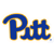 Pittsburgh University,Panthers Mascot